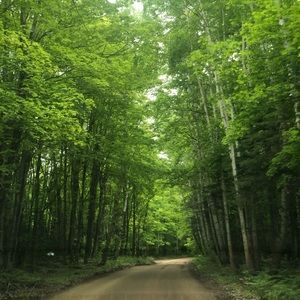 Meet your Posher, Lacey